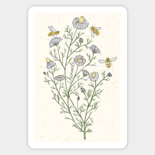 Wildflowers chamomile honey bee Magnet